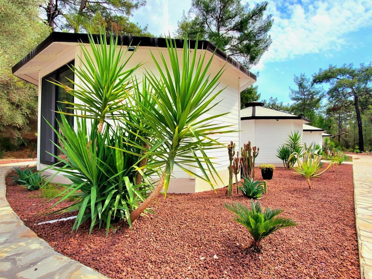 Nomad Lodge Olympos Adults Only Exterior photo